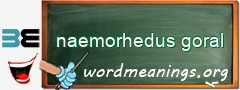 WordMeaning blackboard for naemorhedus goral